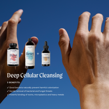 Detox Support