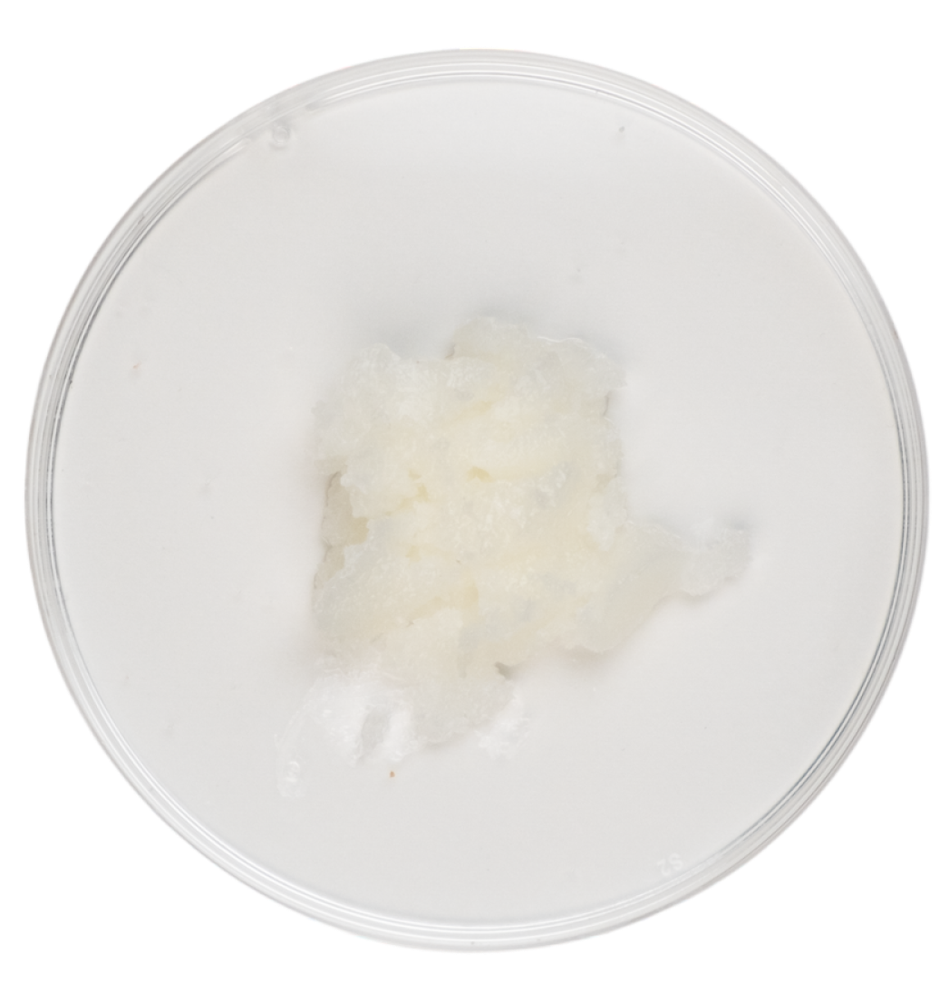 Organic Coconut Oil