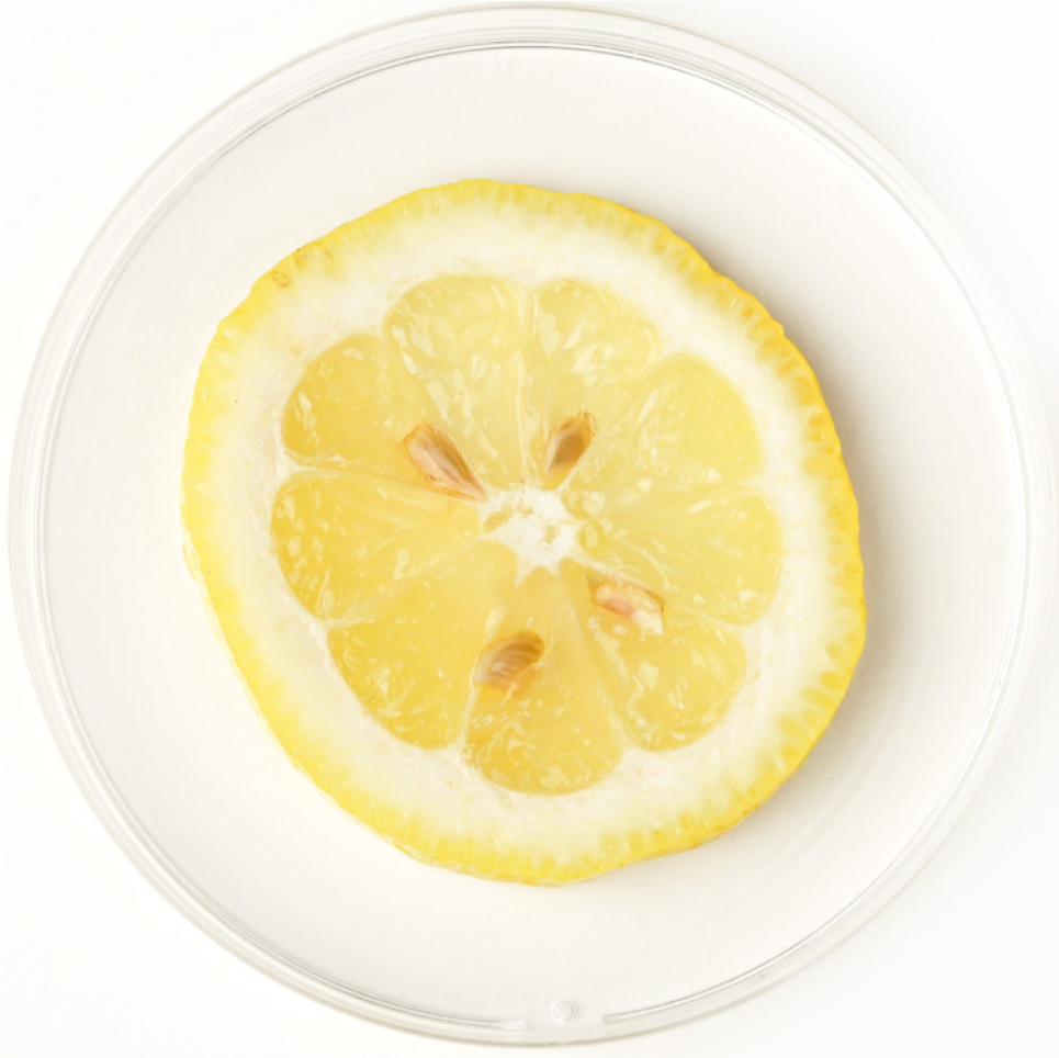 Natural Lemon-Lime Flavor