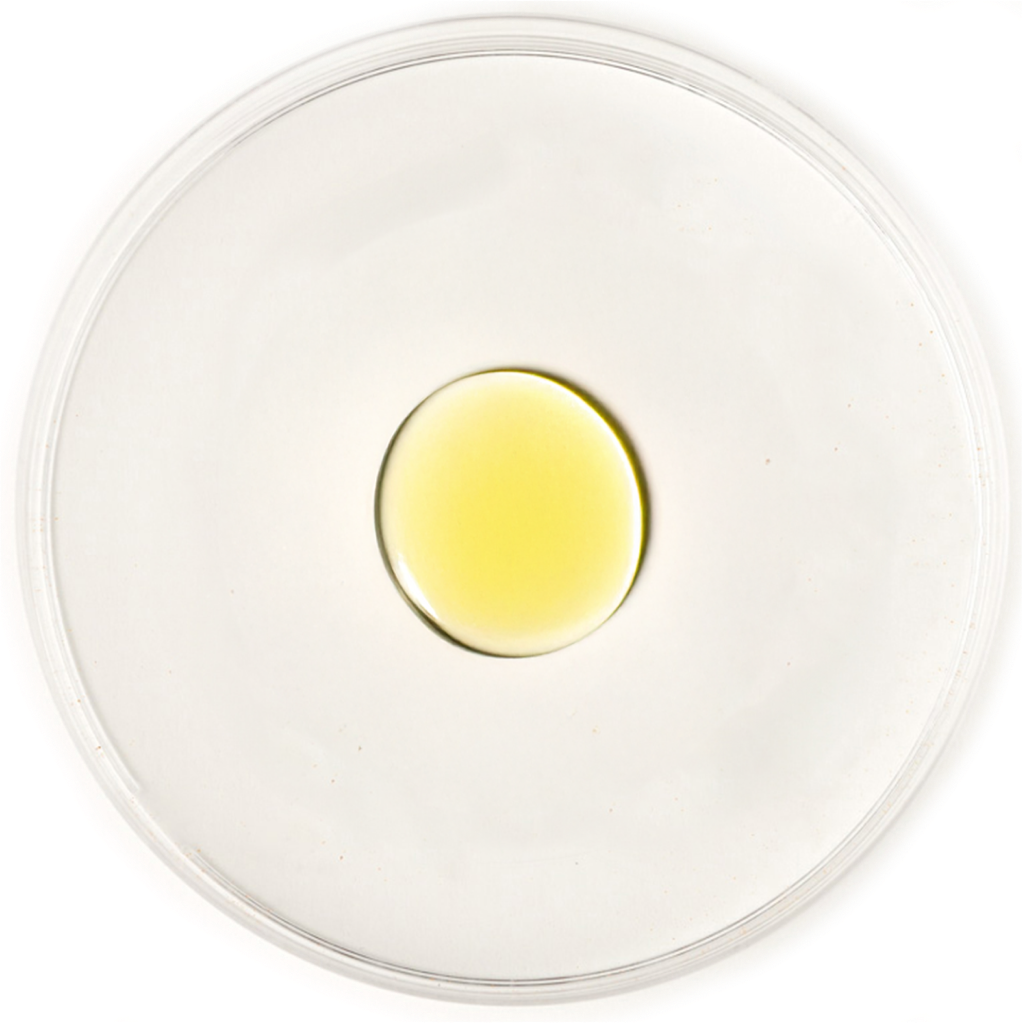 Organic Palm Oil