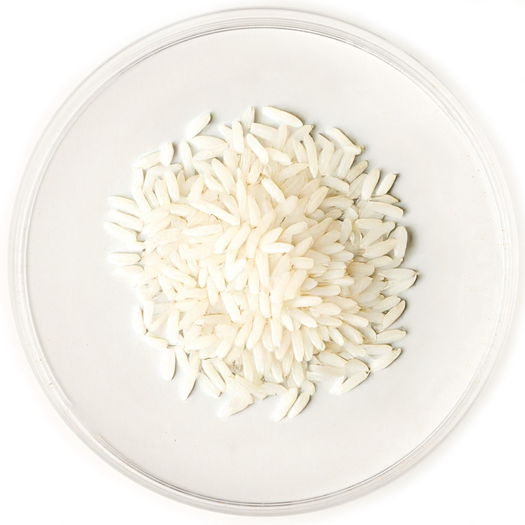 Rice Flour