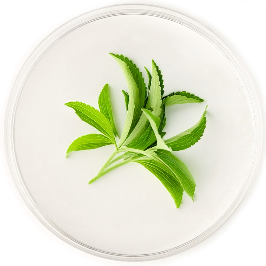Stevia Leaf Extract