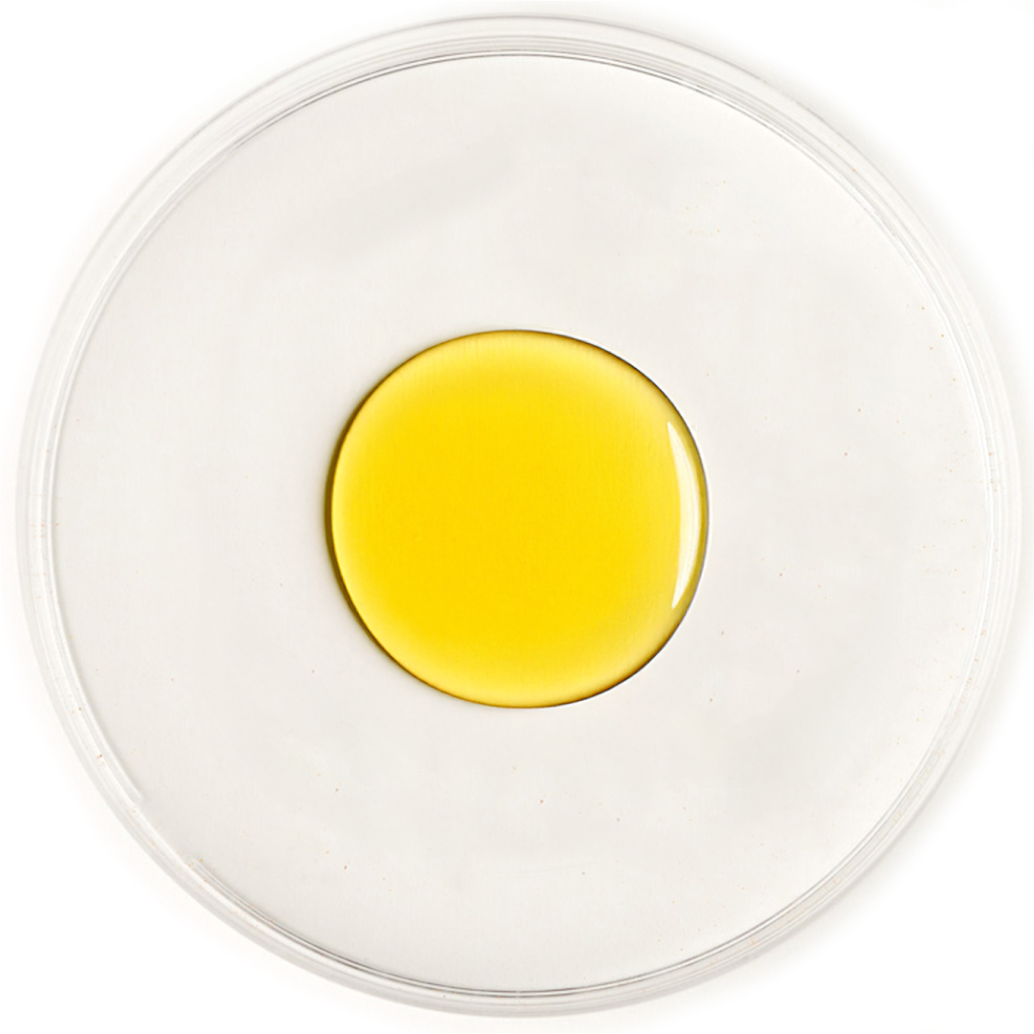 Organic Sunflower Oil