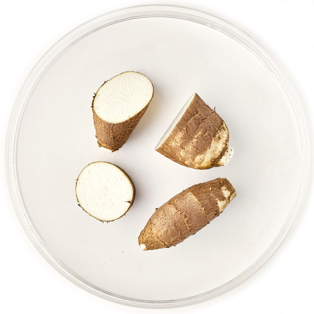 Tapioca dextrin